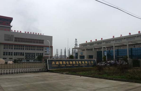 荆州理昂生物质发电有限公司随州工业园生活污水处理项目